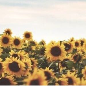 Meet your Posher, Mckenna